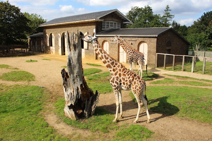 things to do with teengers/where to take teenagers/days out with teenagers in london