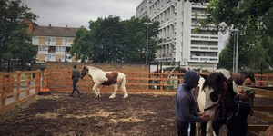 Kids Are Going Horse Riding In Brixton... And It's Improving Their Lives