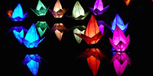 Love The Christmas At Kew Light Trail? Grab Tickets For This Enchanting Alternative