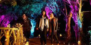 Stunning Light And Lantern Festivals To See Near London This Winter