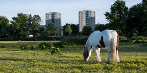 These Breathtaking Photos Show Thamesmead In A Whole New Light