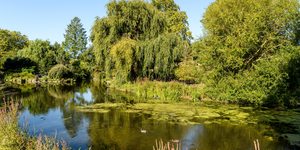 Odyssey In Search Of Peace And Quiet In London