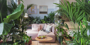 Leaf It Out! London Hotel Unveils Houseplant-Themed Suites