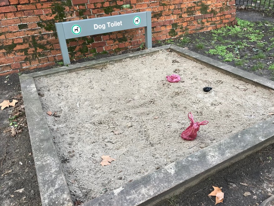 dog toilet