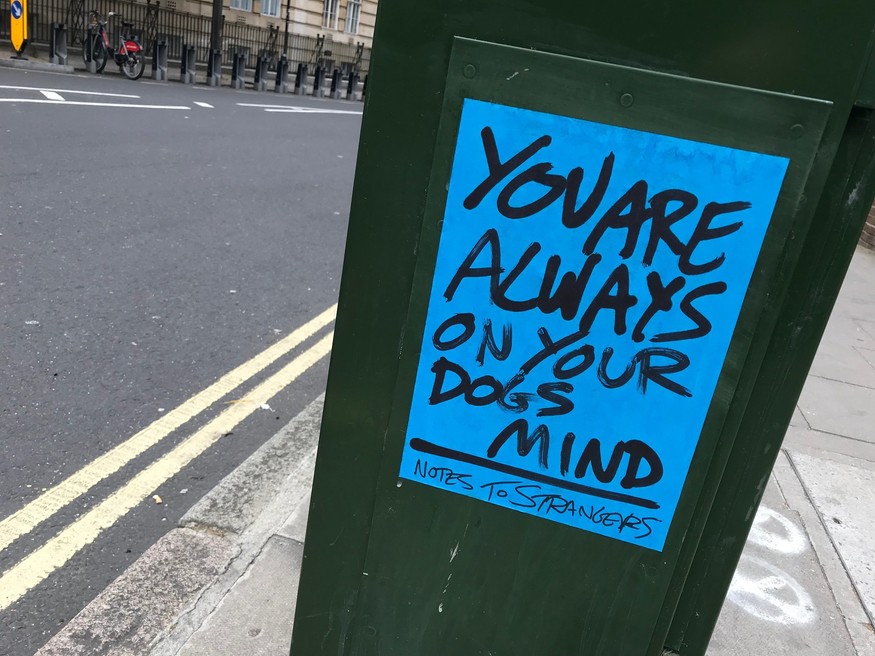 You are always on your dogs mind.