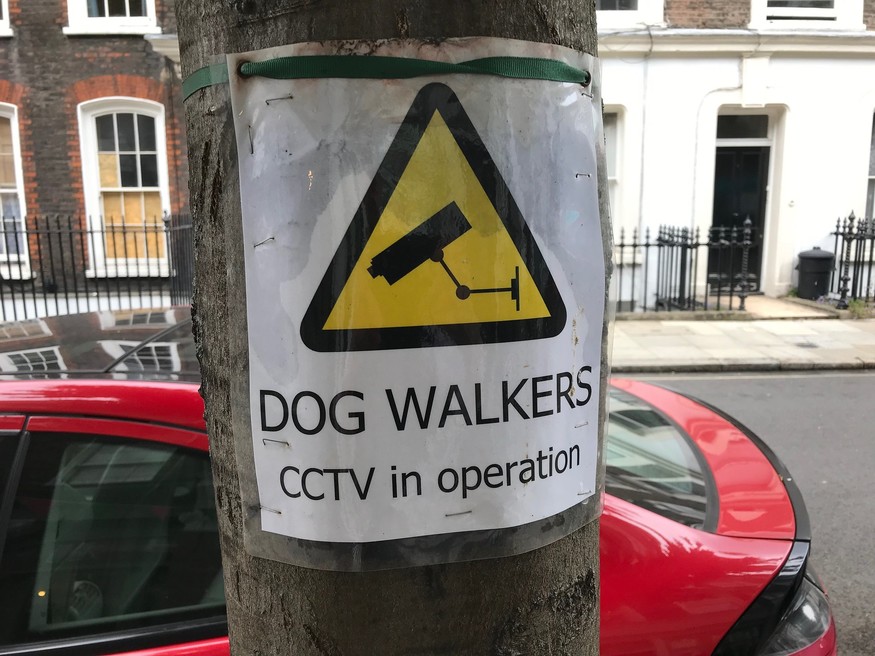 Dog walkers CCTV