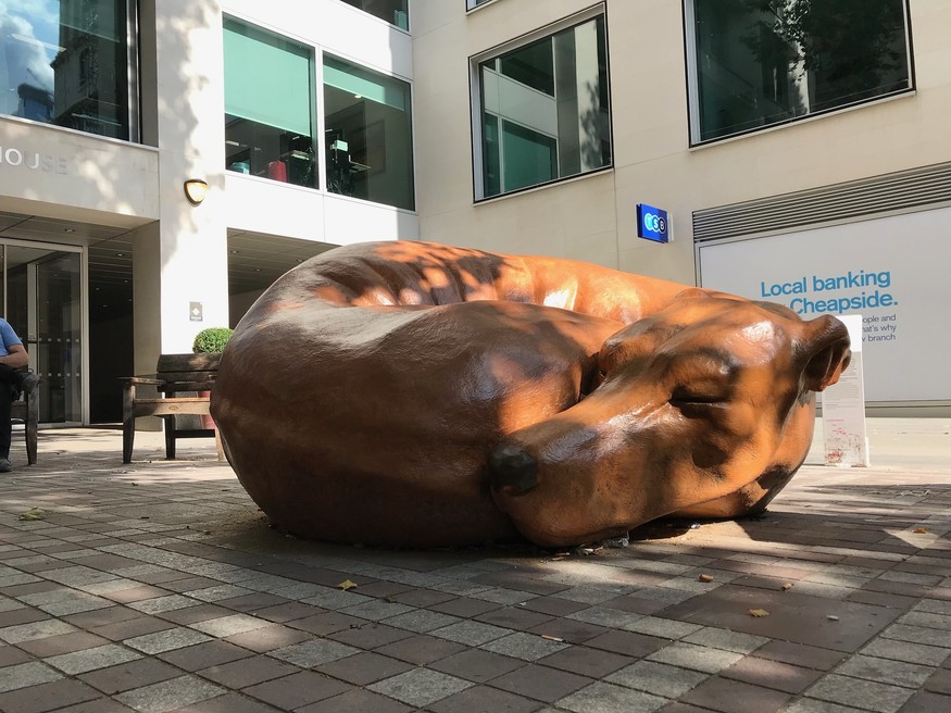 London's Dog Culture In 18 Oddities Londonist