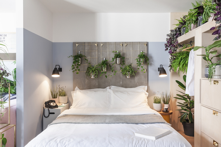 Leaf It Out London Hotel Unveils Houseplant Themed Suites