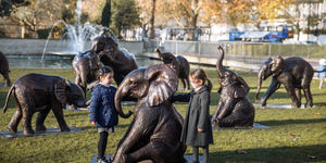A Herd Of 21 Bronze Elephants Has Appeared In Marble Arch