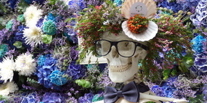 Free Flower Festival Chelsea In Bloom To Return, With Brand New Theme
