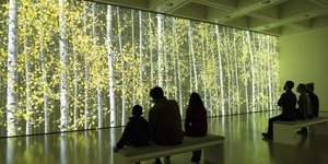 Hayward Gallery Takes Us Back To Nature In A Tree-mendous Exhibition