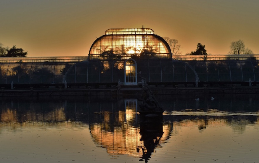 Kew Gardens Has Now Closed Londonist