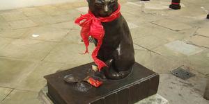 11 Famous London Cats