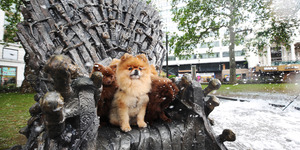 Leicester Square Now Has Its Very Own Iron Throne