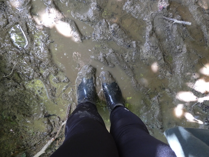 A photo looking down on a pair of black wellies submerged in a mud patch