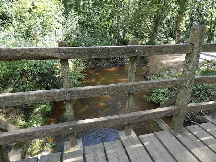 A wooden pedestrian bridge over a small stream in woodland