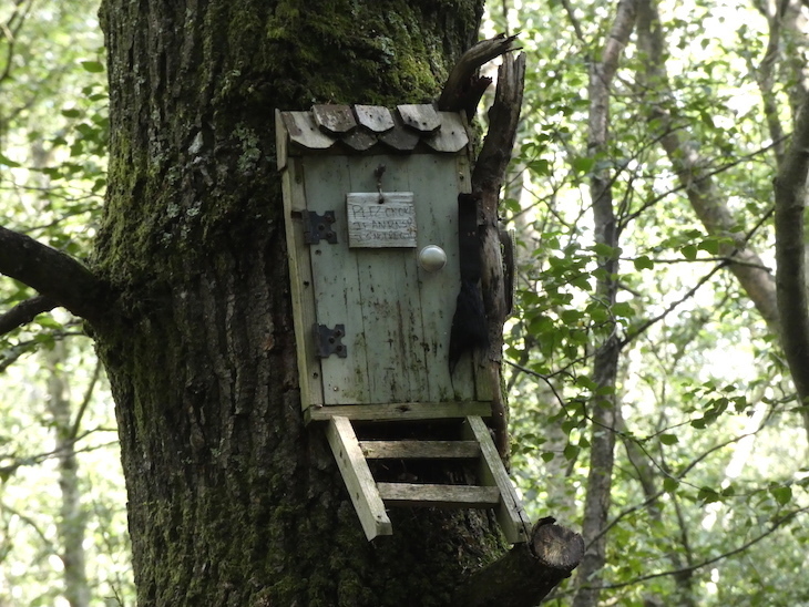 A small wooden door mounted on a tree trunk, similar to Owl's door in Winnie the Pooh