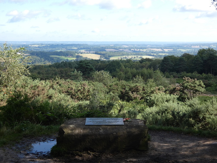 A view over the Ashdown Forest, with the AA Milne memorial plaque in the foreground