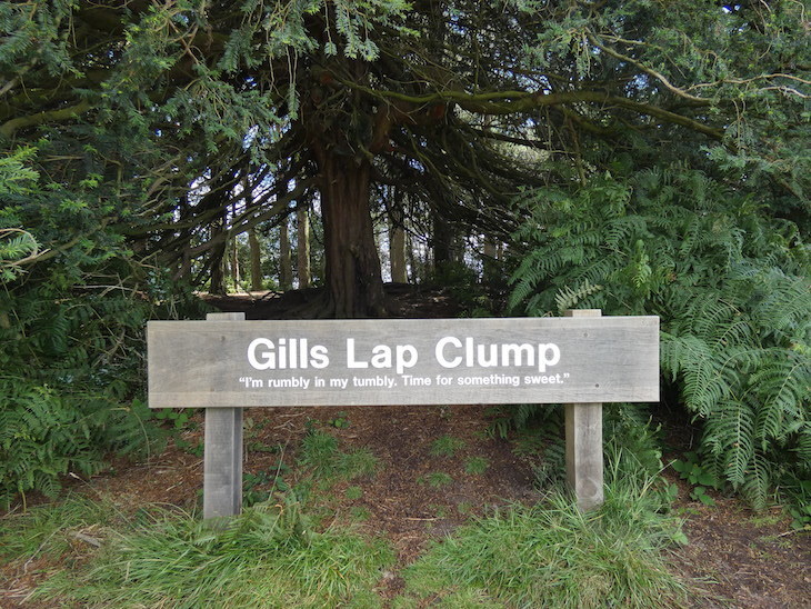 A wooden sign saying "Gills Lap Clump" in front of a group of trees