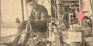 Pigs Might Fly? One Did in Kent, Over 100 Years Ago