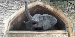 Around London In 12 Elephants