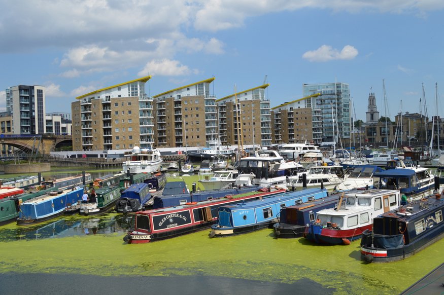 narrowboats lined up next to one another in limehouse basin, with newbuilds rising behind them