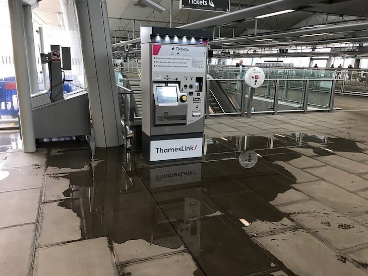 A ticket machine appears to have wet itself.