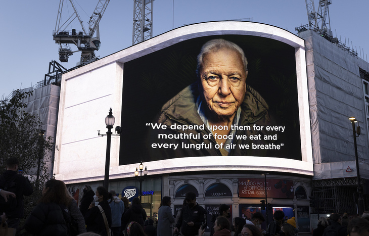 attenborough appears on screen explaining how we depend on plants