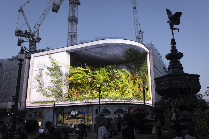 the concrete is now brimming with foliage