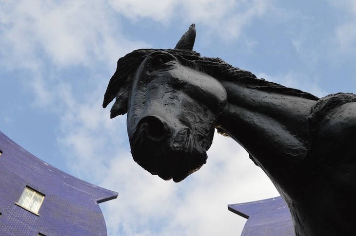 A horse's head looms large over the camera. A small section of blue building is seen in the background