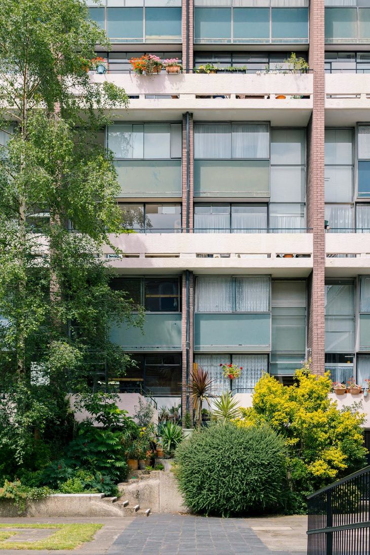 close up of the windows with greenery in the foreground