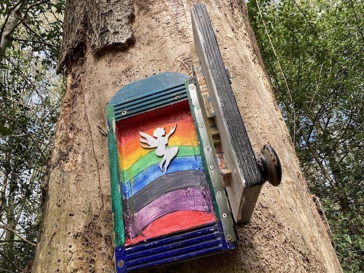 A rainbow coloured fairy door, nailed to a tree trunk halfway up