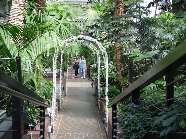 Two people walk towards a white metal arch among the trees and bushes of Barbican Conservatory