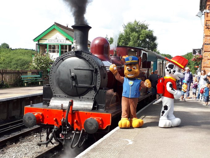 Chase and Marshall from PAW Patrol stand next to a steam train