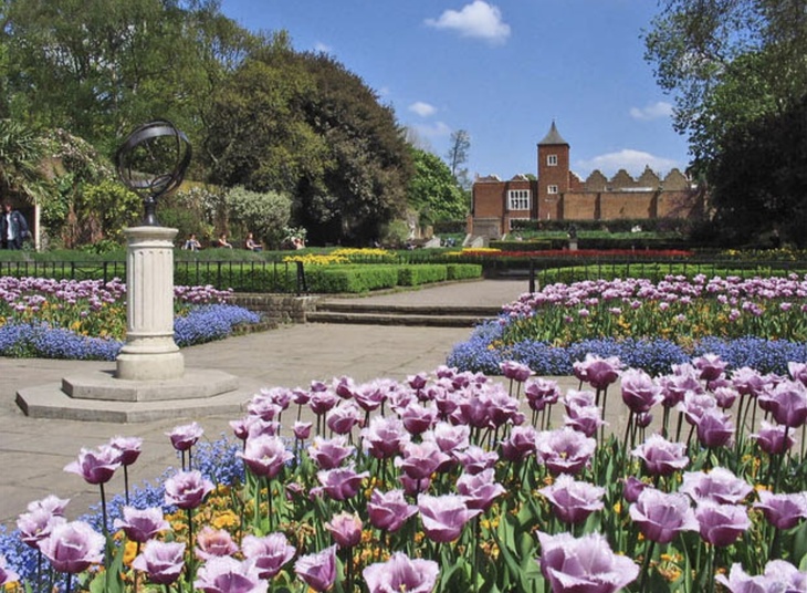 Pink roses in front of the redbrick Holland House stately home