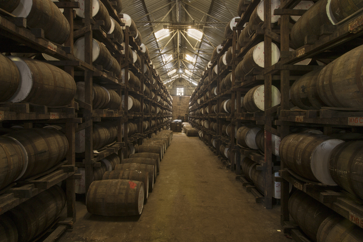 Hundreds of rum barrels 