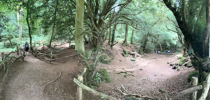 A woodland scene with paths leading off to left and right