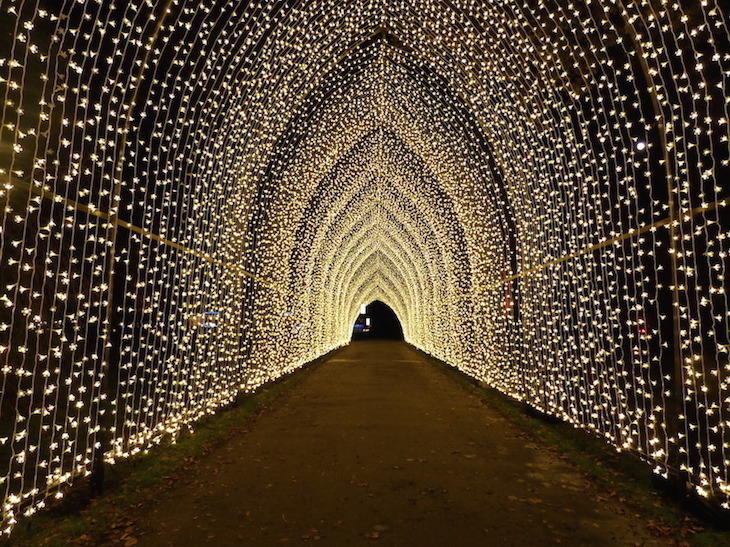 A tunnel over a footpath, empty of people but covered in golden-yellow fairy lights, creating a tunnel of light.
