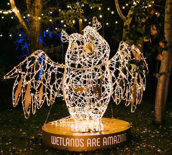 A sculpture of an owl, made from metal wire and covered in fairy lights. It's dark and the fairy lights are illuminated a golden-yellow colour.