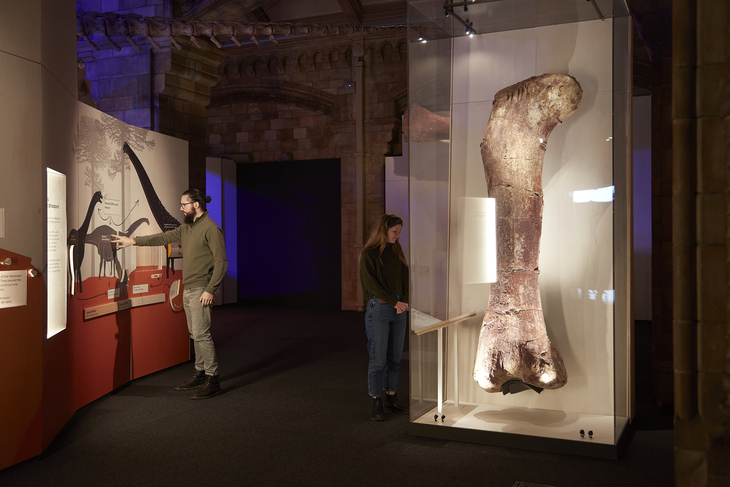 a huge thigh bone in a glass case