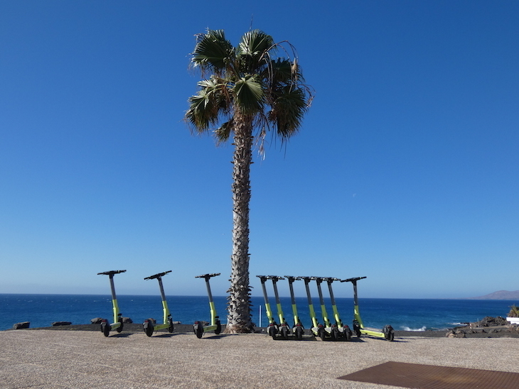 A row of hire scooters lined up neatly beneath a palm tree in front of the sea.