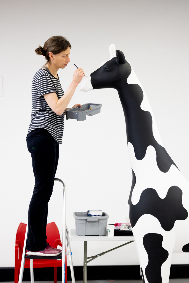 A giraffe being painted like a Friesian cow