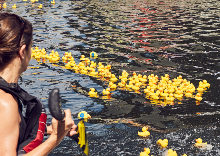 Dozens of rubber ducks floating together in a group on the canal, with a woman on a paddleboard nearby.