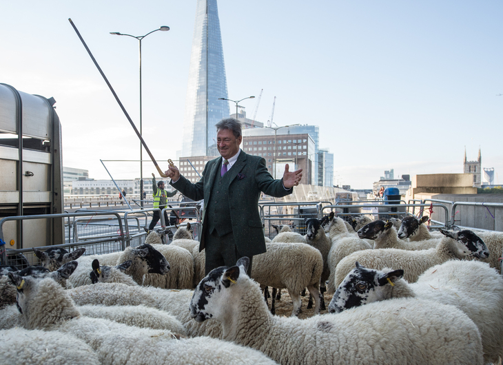 Alan Titchmarsh driving sheep over London Bridge