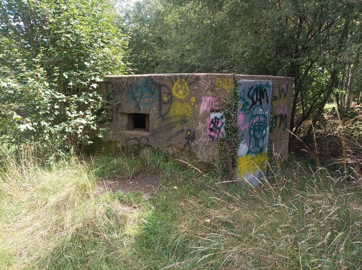 A pillbox in the woods, with some graffiti on it