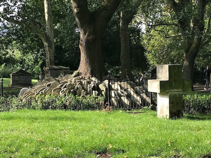 The Hardy tree in st pancras