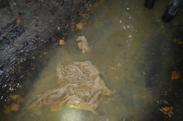 Inside the fleet sewer with poo and paper evident