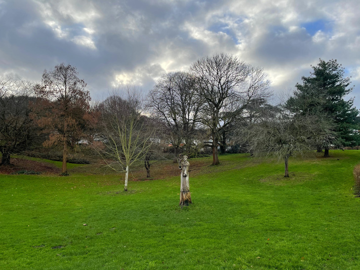 Trees with a mysterious sculpture in the foreground