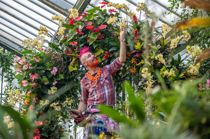 A Kew Gardens employee up a ladder putting the finishing touches to a floral arch