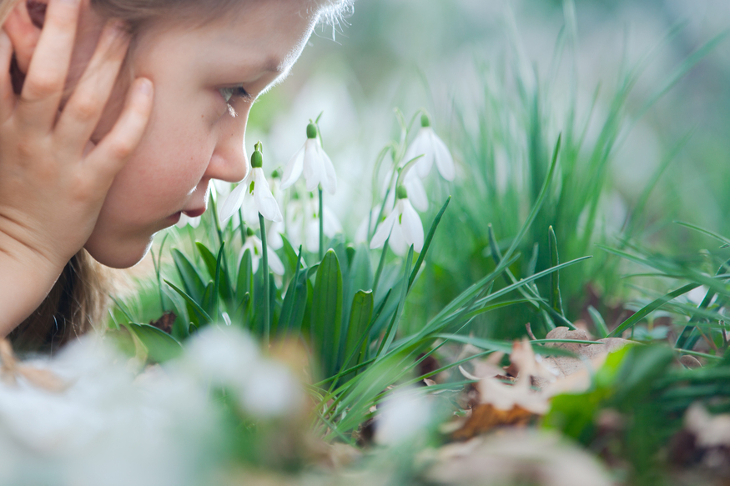 A young girl sniffing snowdrops in the ground